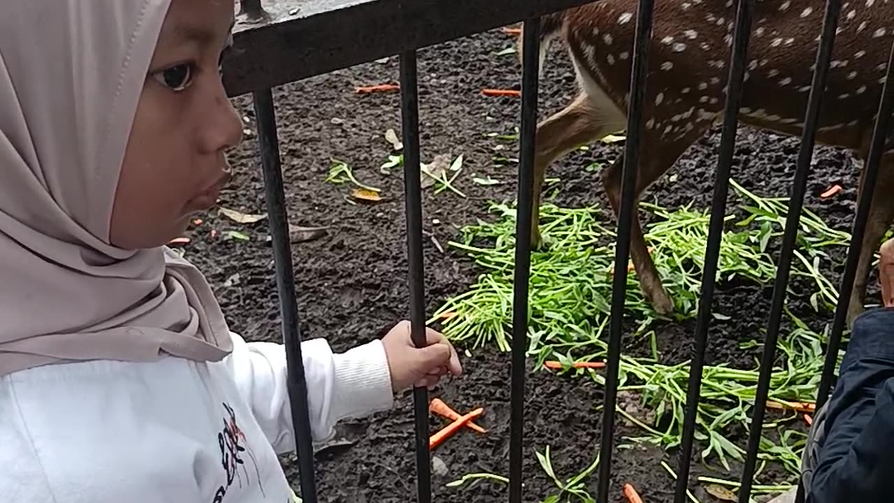 Rusanya udah kenyang semua