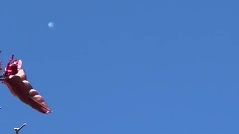 🛸😱 SHOCKING Sighting Over Mexico City! | TheTruthAbove