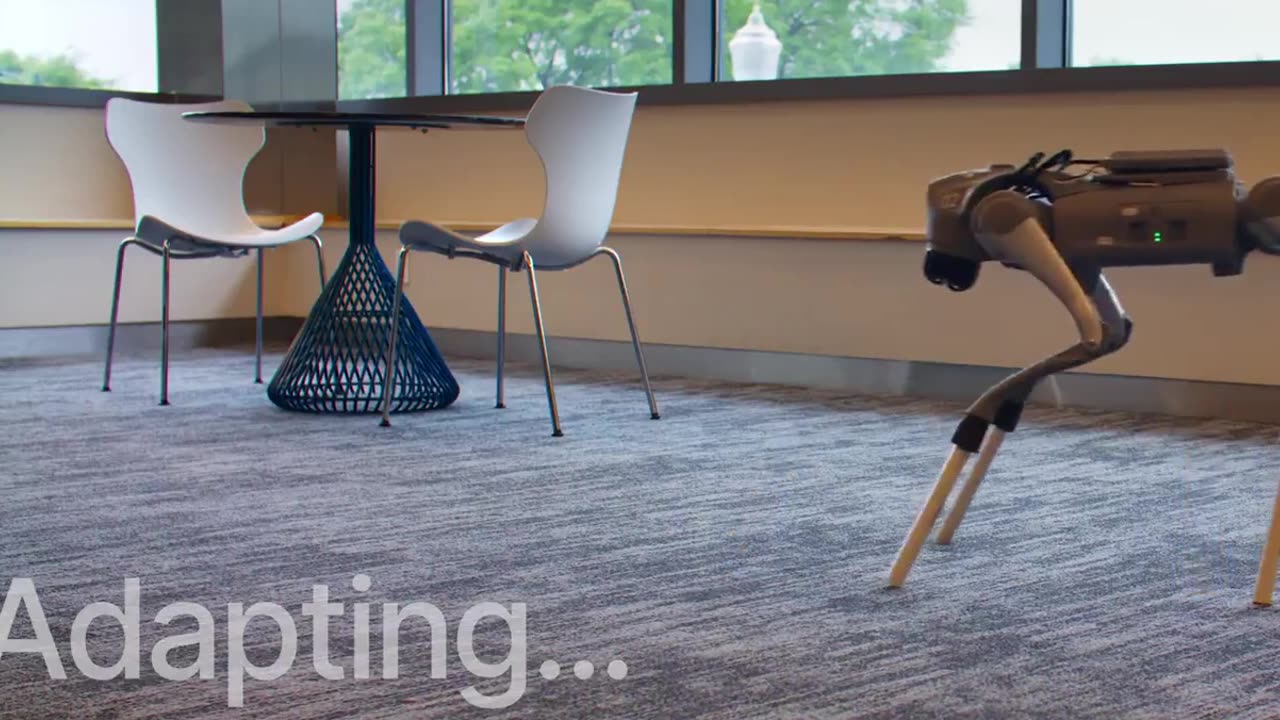 🤯✨ Brain Adapts After 1,000 Years Walking 100,000 Bodies! | FeedMyCuriosity