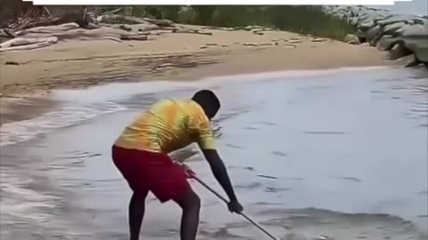 Democrats try to cover up their effort to overthrow the government.