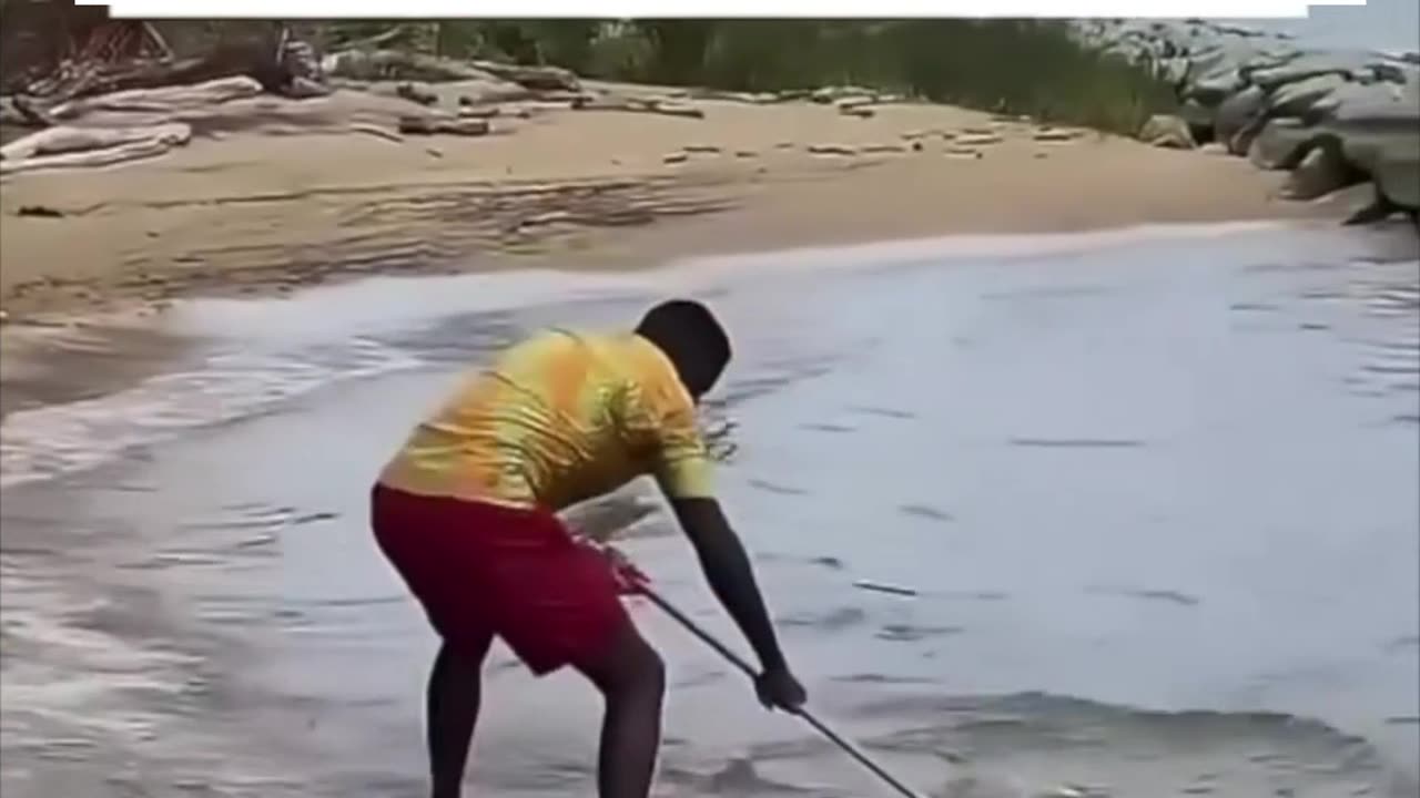 Democrats try to cover up their effort to overthrow the government.