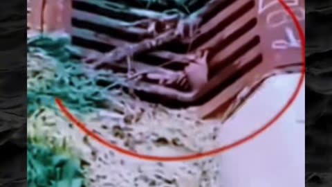 😨👻 Something Creepy Lurks in the Shadows... | TheHauntingHour