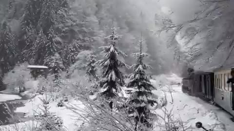 The charming Mocăniță train as it steams through a winter wonderland!