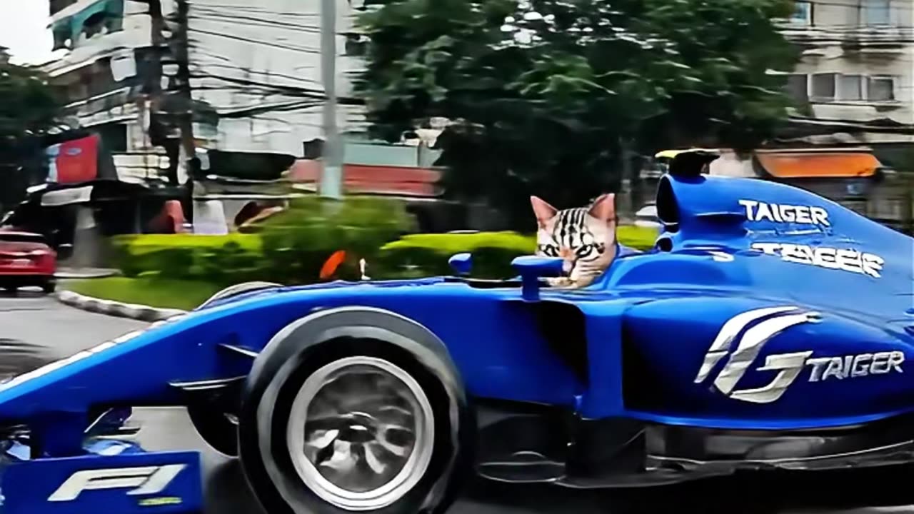 TAIGER F1 Drift #aicat