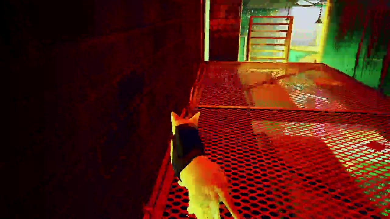 STRAY !LIVE! -- Part 04 (Switch 2)