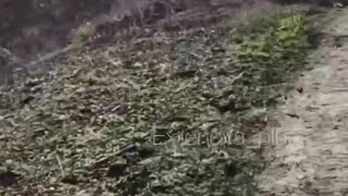 The consequences of using drones on fiber optics. The entire area is covered with threads