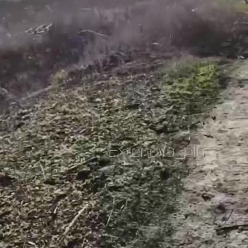 The consequences of using drones on fiber optics. The entire area is covered with threads