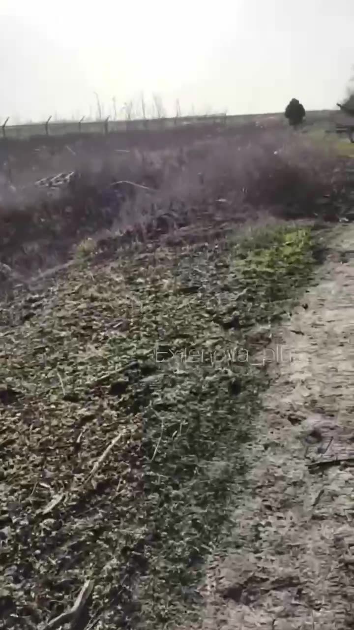 The consequences of using drones on fiber optics. The entire area is covered with threads