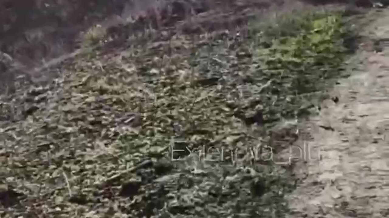 The consequences of using drones on fiber optics. The entire area is covered with threads