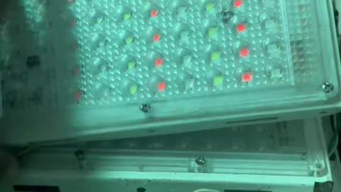 LED Lights #led #ledlight #ledlighting