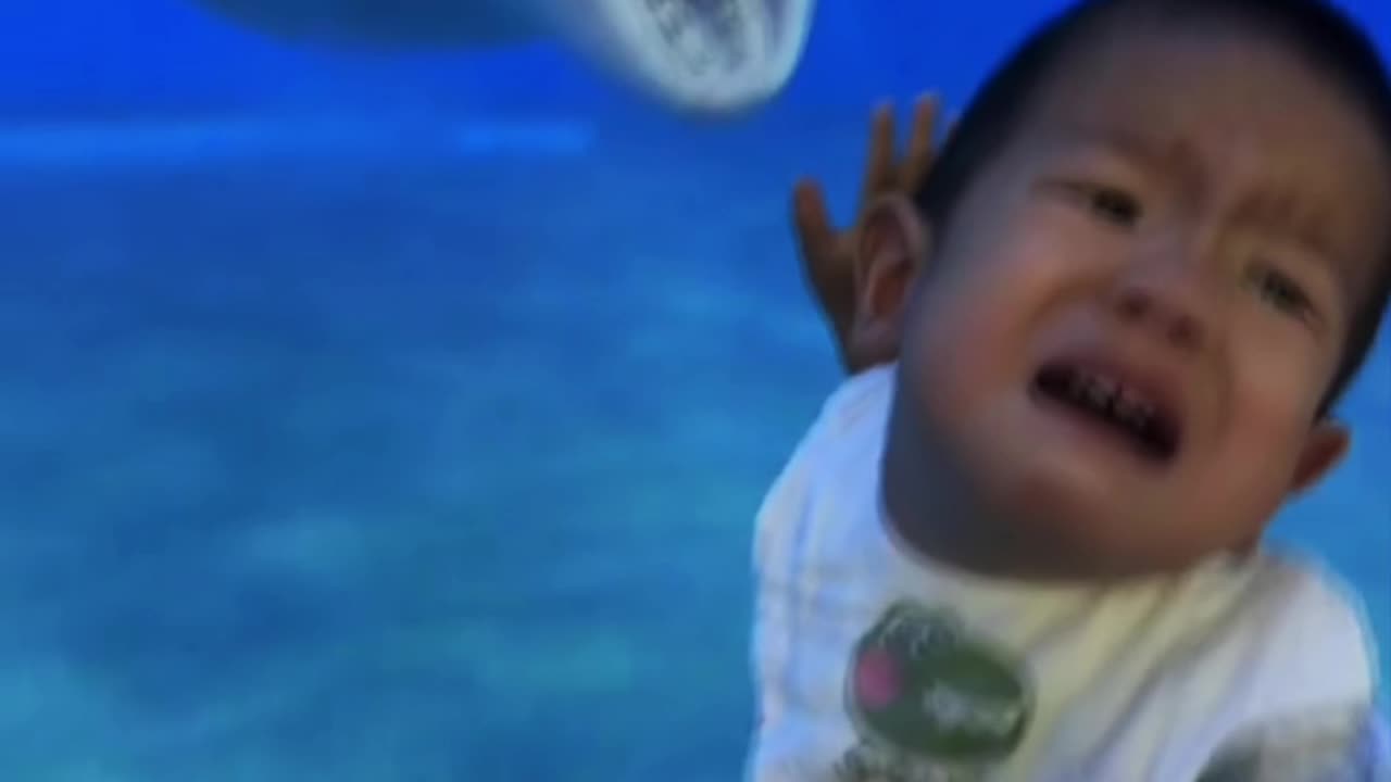 Cute Kid Playing With Big Fish - FunkyPets4u
