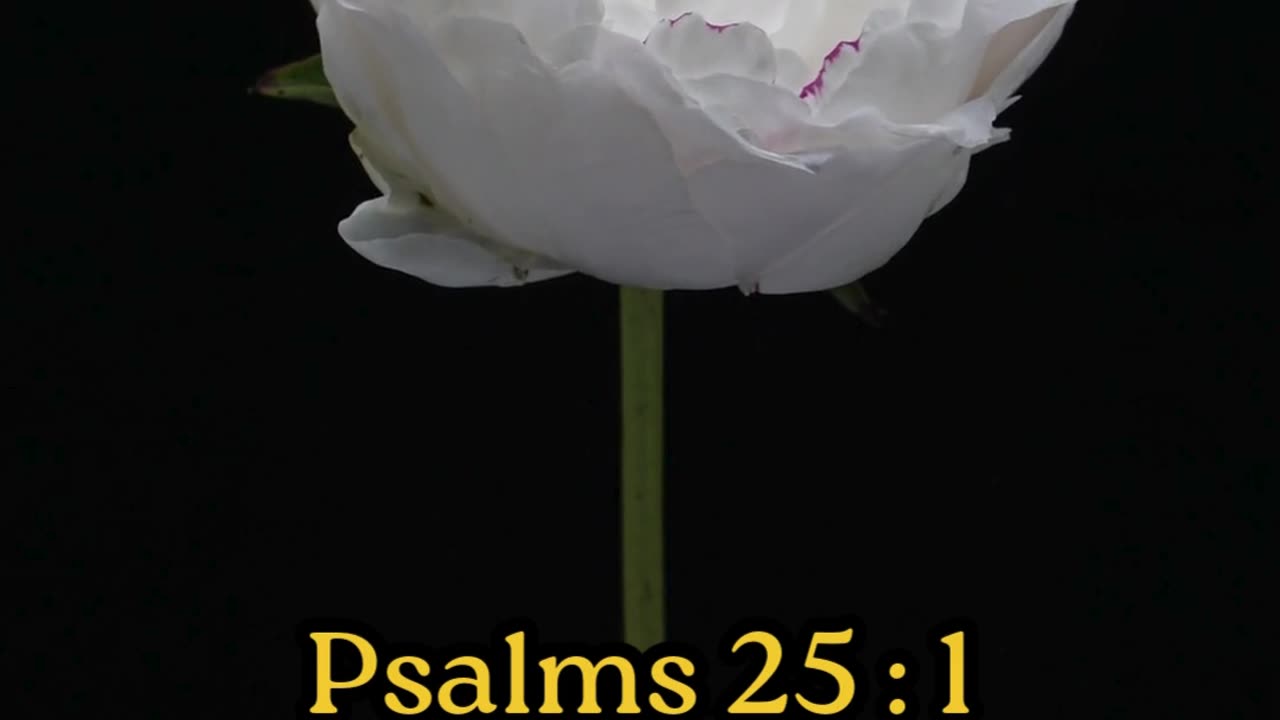 Psalms 25:1