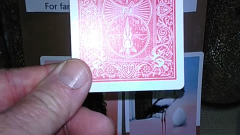 Queendom of Heaven & Precognitive Test 12-29-25