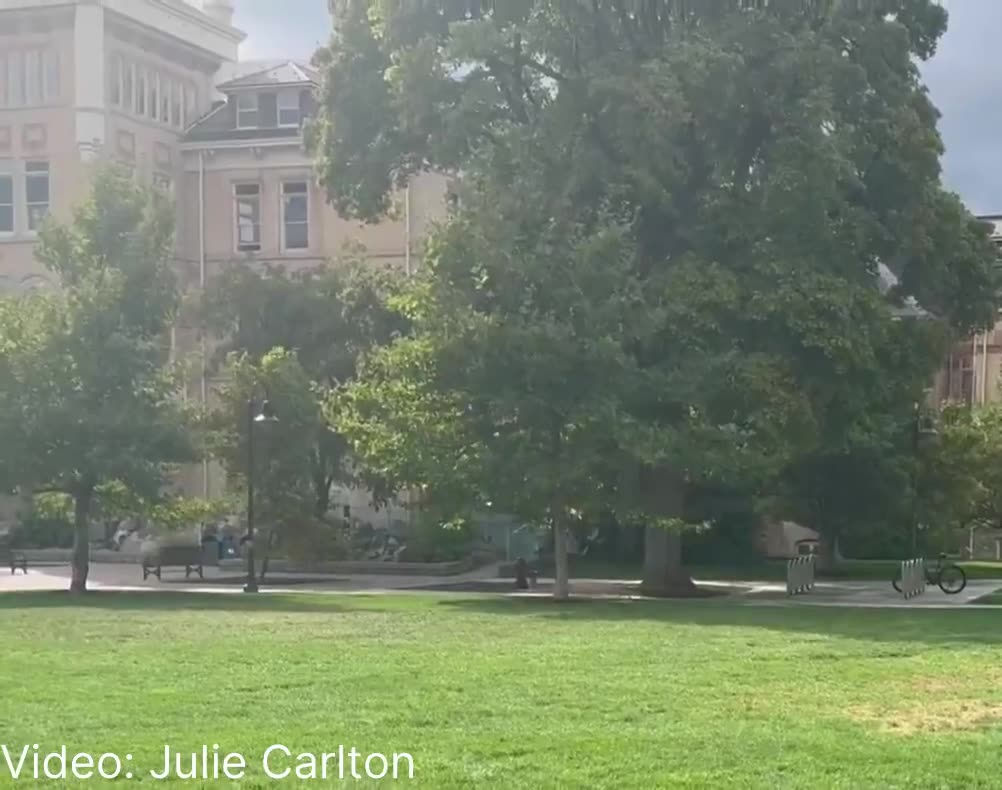 Per KSL-TV reporter Erin Cox at Utah State University: "Police just yelled “fire in the hole”