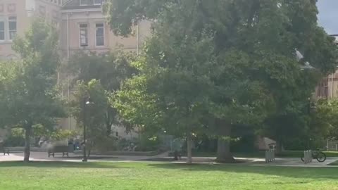 Per KSL-TV reporter Erin Cox at Utah State University: "Police just yelled “fire in the hole”