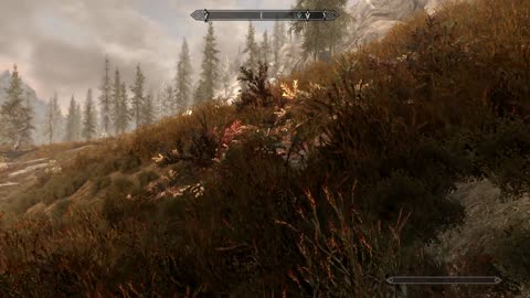 A Casual Trip through the Land of the Nords- Skyrim Special Edition