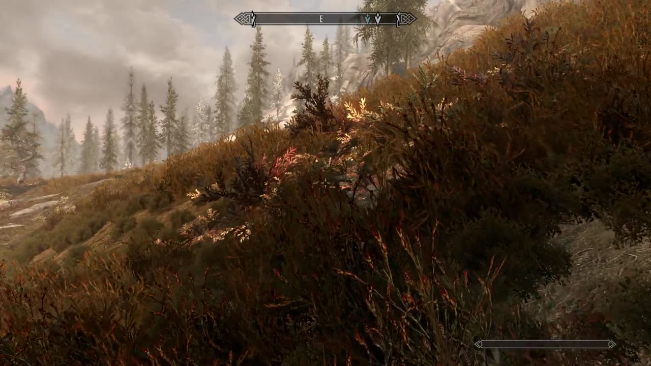 A Casual Trip through the Land of the Nords- Skyrim Special Edition