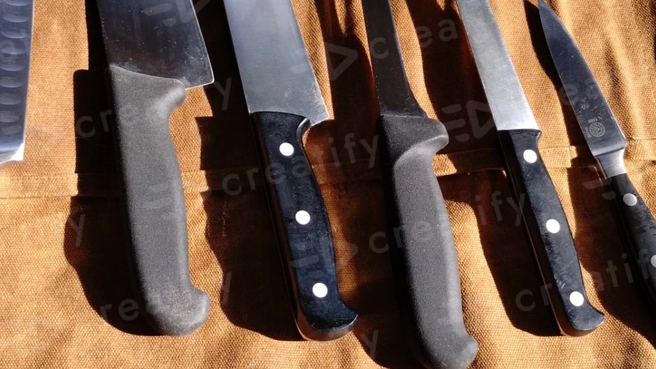 Professional Knife Sharpening Service in Seattle, WA