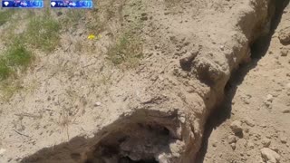 🔴POWERSPORTS, FESTS, SIMS/GAMING, COMEDY, TRAVELNSHEZ