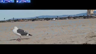 🔴POWERSPORTS, FESTS, SIMS/GAMING, COMEDY, TRAVELNSHEZ