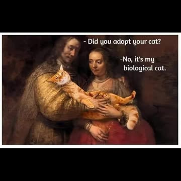 i mean... 🐈 #funny #memes #viral #reels #shorts #fyp #explore #discover