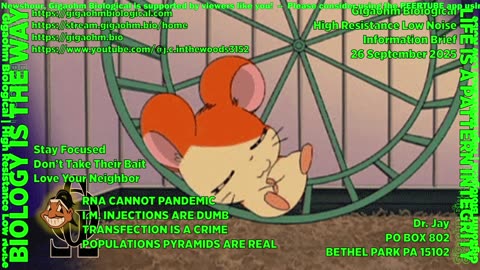 Gigaohm Biological High Resistance Low Noise Information Brief