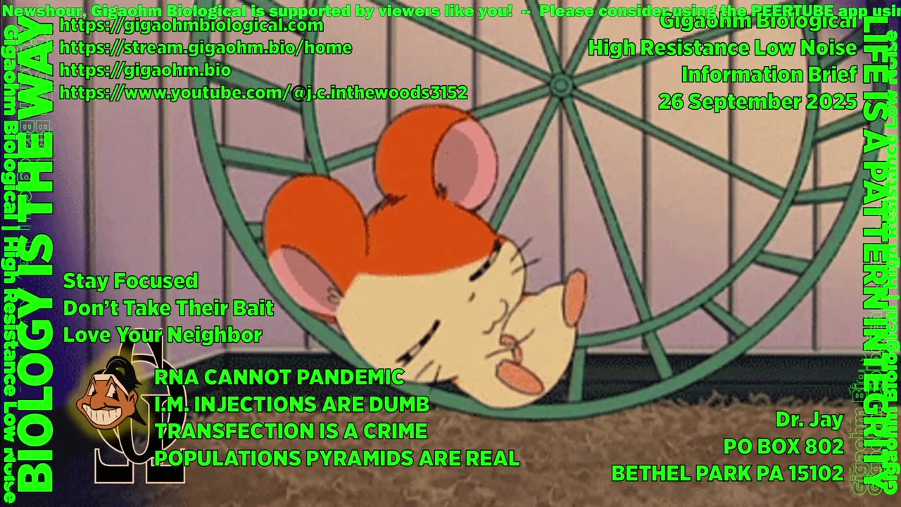 Gigaohm Biological High Resistance Low Noise Information Brief