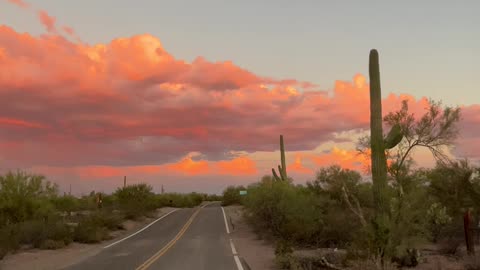 Arizona Sunset