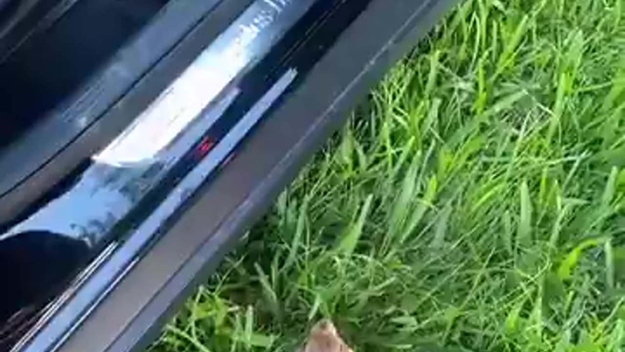 Chuck never gives up