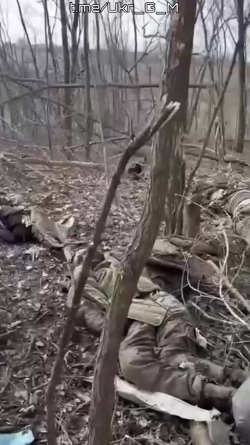Ukraine war combat/related footage 1/30/26