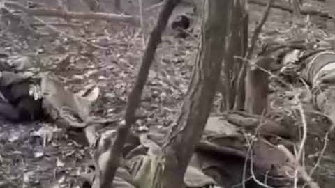 Ukraine war combat/related footage 1/30/26