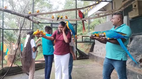 Birds of Hanthana: A Paradise"