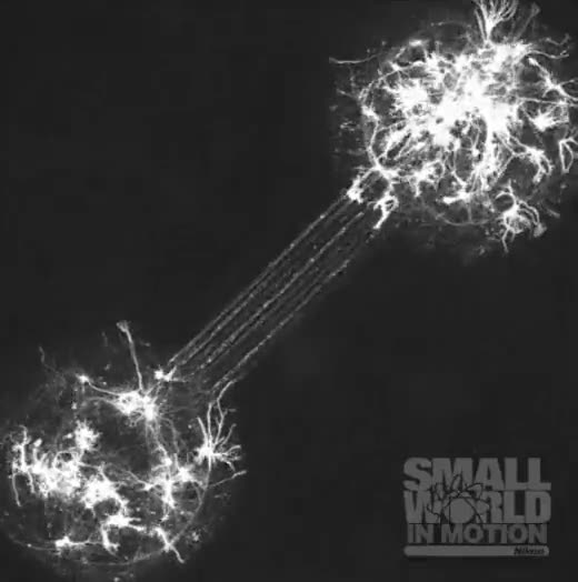 Educational Purposes Only..!