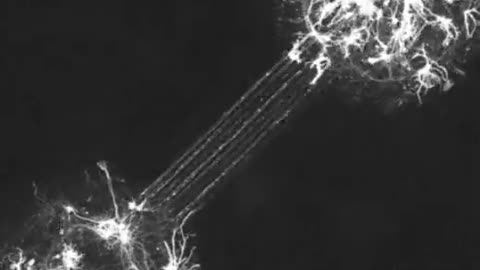 Educational Purposes Only..!