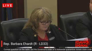 Rep. Ehardt's heartbreaking story about an elderly woman afraid to go outside during pandemic