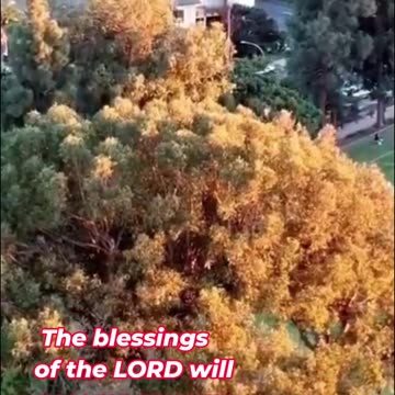 Sunday prayer to the LORD's blessings will accompany you forever