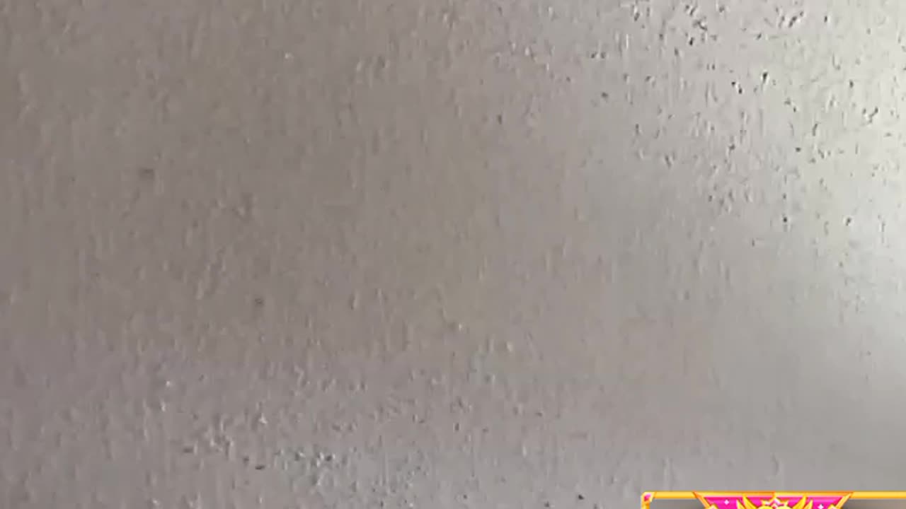 Breion with a NASTY read for Supa and more