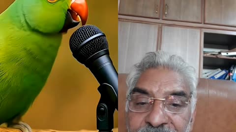 PARROT IS RECITING