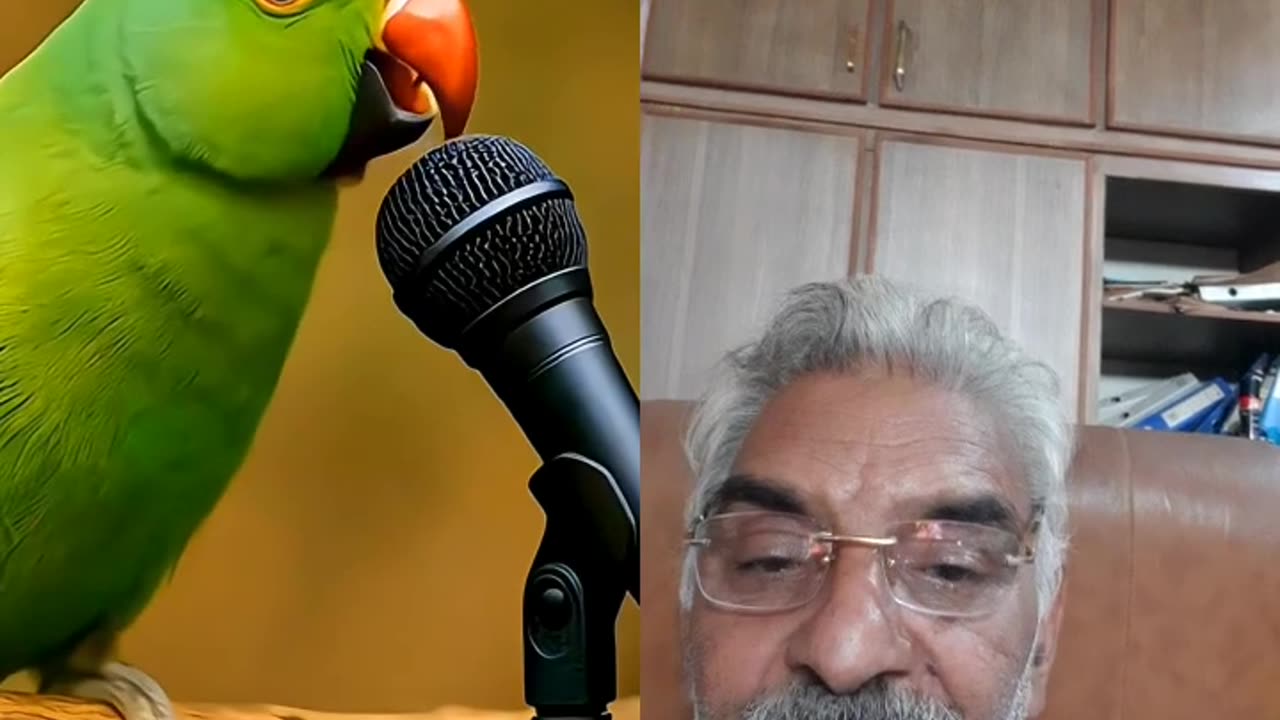 PARROT IS RECITING