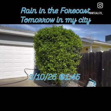 Rain in the Forecast- Chemtrails - 3/10/25