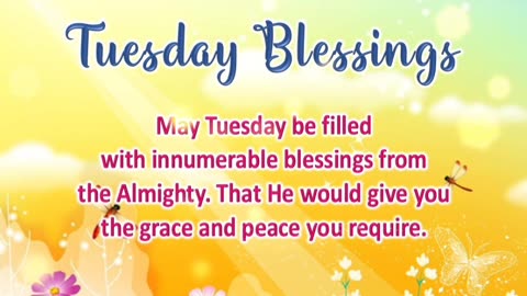 HOW GRACE CHANGES EVERYTHING - DAILY DEVOTIONAL ❤️