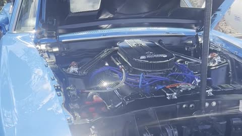 Monday Motor Madness # 158 - 69 Shelby GT500