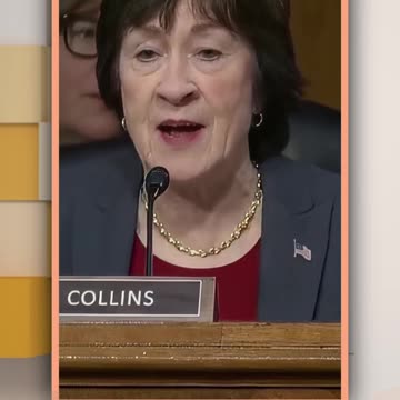 Tulsi Gabbard Denies Hezbollah Allegations