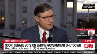 Speaker Mike Johnson says the shutdown was "really was a shutdown about nothing."