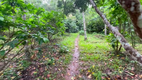 Suan Lahu organic farm in Chiang Rai - Part 2