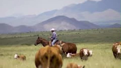 MI ESPOSA ROSALBA Y EL BURRO