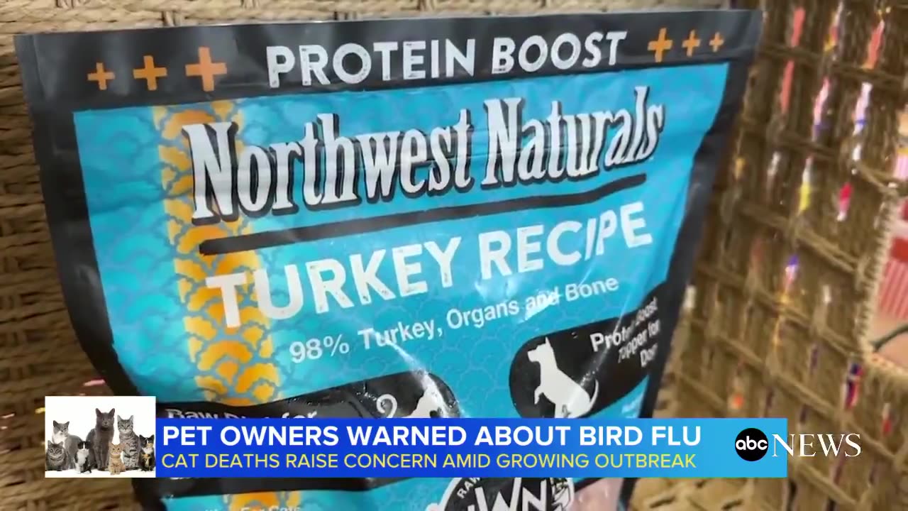 Local News warning about Bird Flu dangers for Cats.