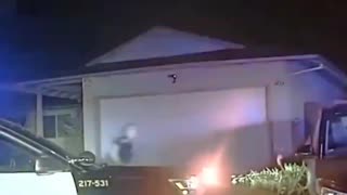 Blacks rob store, get 180 grain forever nap