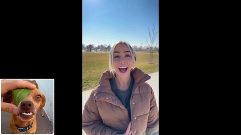 Funny videos compilation 54