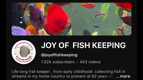 Sunday With Joy Of Fish Keeping